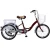 Import Pedal Assist Electric Bicycle 20 Inch 3 Wheel Ebike from China