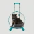 Import pet luggage from China