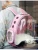 Import Pet Portable Carrier Space Capsule Backpack Pet Bubble Traveler Knapsack Multiple Lightweight from China