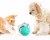 Import Pet supplies wholesale Eco-Friendly ABS Puppy Dog Cat Wheel Interactive Kong Dog Toy Chew Treat Toy Tumbler Design Leakage Toy from China
