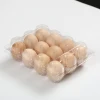 PET transparent egg packaging box shockproof egg packaging quail egg packaging 10