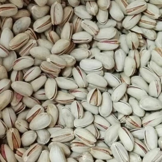 Pistachio Nuts iranian for sale high quality good price ,