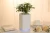 Import PlantsWord-2 Flower Talk smart watering flowerpot sensor automatic watering pots resin pots creative succulents pots from China