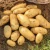 Import Potato from India