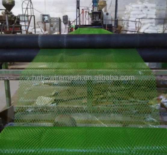 Poultry Net / Plastic Netting with High Quality