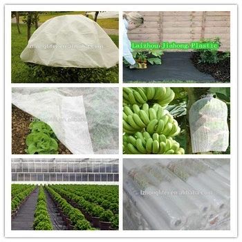PP Spunbonded Non Woven Fabric Plant Cover