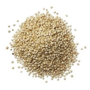 Premium Organic quinoa From Ukraine With Best Price