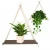 Import Premium Wood Swing Hanging Rope Wall Mounted Shelves Plant Flower Pot Rack indoor outdoor decoration simple design Shelves from China