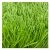 Import Professional Sport  Soccer Grass Synthetic Artificial Grass For Football Field from China