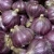 Import Purple Garlic Dalat/ Fresh Garlic from Vietnam