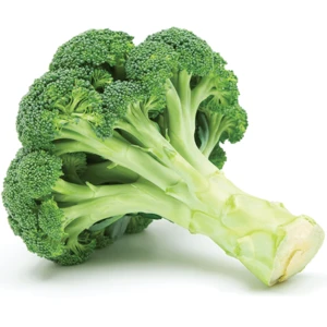 Quality Big Sizes Broccoli vegetables