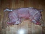 Rabbit meat