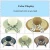 Import Raffia Paper Floppy Panama Hat Summer Beach Party Straw Hats For Women from China