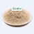 Import Rainwood supply free sample Food Grade garlic extract allicin powder for sale from China