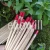 Import Red Eco Friendly Wood  Pencil from China