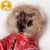 Import Redhill waterproof outdoor dog ski-wear High Technology Heat Reflective cotton-padded dog clothes from China