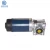 Import right angle worm DC gear motor from China