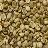Robusta Green Coffee Beans From Thailand