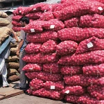 Round fresh red onions fresh cheap onion