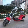 scrooser citycoco 3000w electric scooter