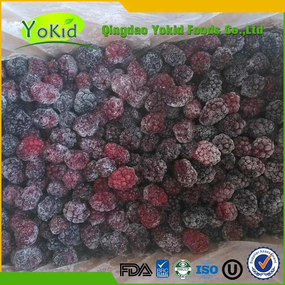 Sell Best Price Certified Quality Passed HACCP Bulk Wholesale Fresh IQF Freezing Type Frozen Blackberry Whole Fruit