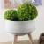 Import Shininglife wholesale soft plastic green ball artificial plant for home decoration from China