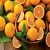 Import Sour and sweet fresh orange fruit /fresh oranges from Germany