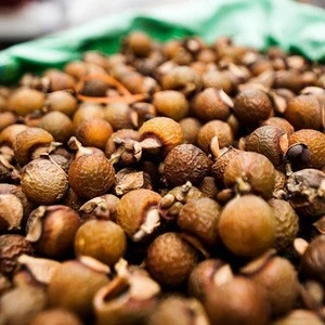 Split Betel Nuts and Whole Betel Nuts Supplier
