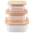 Import Square Glass Food Storage Containers with Bamboo Lids 4 Pieces Set Glass Containers Glass Meal Prep Containers from China