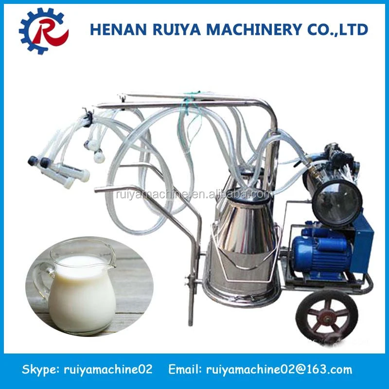 stable property cow milking equipment