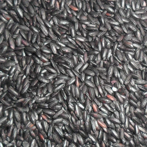 Steamed/roasted black rice ( oganic or common types )