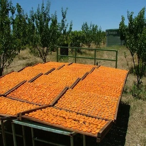 Sun Dried/Preserved Apricot/Open Air Dried Apricot for sale