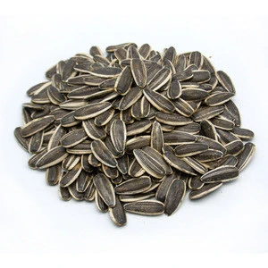 Sunflower Seeds  Kernel / sunflower seeds for oil