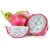 Import Supplier red fresh dragon fruit pitaya frozen dragon fruit from Vietnam