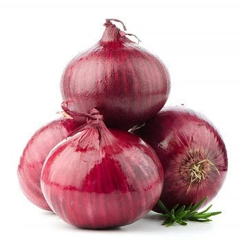 supply fresh vegetables onion with the best quality