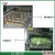 Import Surri leafy Fruits Vegetable Washer from China