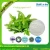 Import TAIMA cooling agent ws-23/ ws-5 /51115-67-4 F&F-mintflavour from China