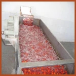 Tin canned food tomato paste with OEM brands