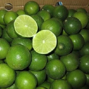 Top Quality Citrus Fresh Seedless Lemon & Limes