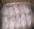 Import Top Quality Halal Frozen Whole chicken - Best Price from Ukraine