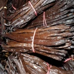 Vanilla Beans