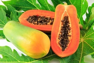 Vietnam supplier for Papaya juice 240ml tinplate can_fruity juice_healthy drink