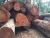 Import WHITE AND RED OAK WOOD LOGS from South Africa