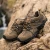 Import Wholesale Breathable High Quality Men Casual Outdoor hiking shoes working shoes for men from China