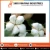 Import Wholesale Bulk Raw Cotton In India from India