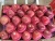 Import Wholesale fresh Apple Fruit/ huaniu Apple Fruit Fresh / red delicious apple from China