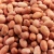 Import Wholesale High Quality Raw Bold Peanuts - Runner Variety Peanut from South Africa