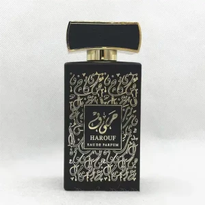 Wholesale Hot Selling Arabian Perfume Middle East Dubai Long Lasting Fragrance Arabian Luxury Perfume Original For Men