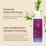 Wholesale Natural And Organic Korean Shampoo  Mini Shampoo And Conditioner For Hotels Shampooing Pour Cheveux