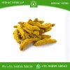 Wholesale Turmeric Powder / Bulk Spice Supplier India